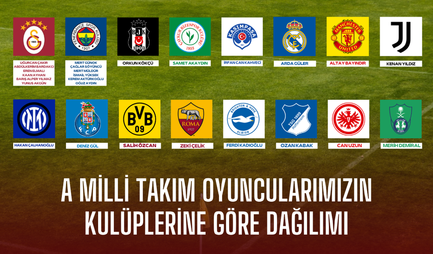 A Milli Takım oyuncularımızın kulüplerine göre dağılımı