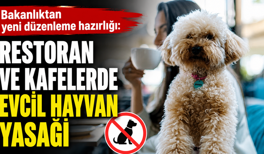 Bakanlıktan yeni düzenleme hazırlığı: Restoran ve kafelerde evcil hayvan yasağı