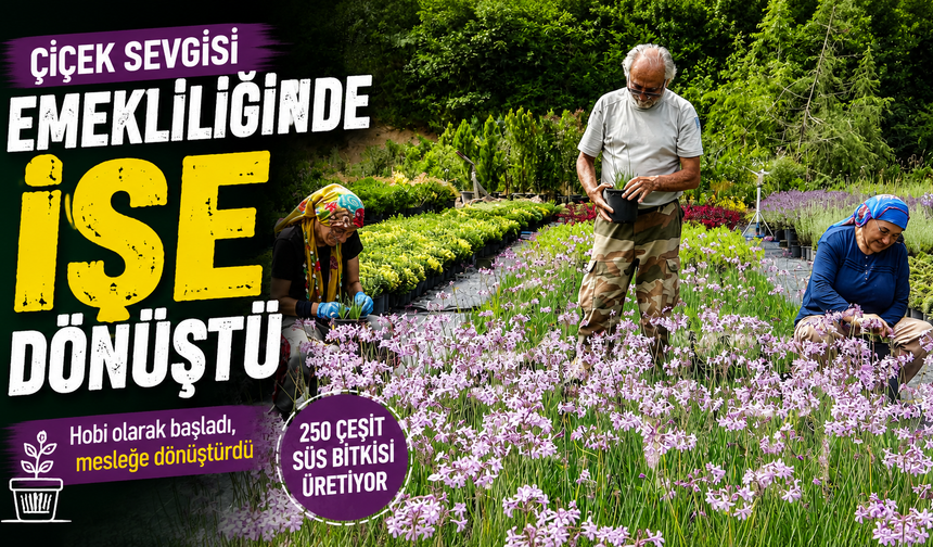 Çiçek sevgisi emekliliğinde işe dönüştü