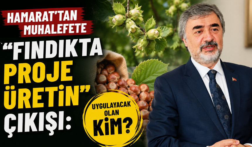 Hamarat'tan muhalefete "Fındıkta proje üretin" çıkışı: Uygulayacak olan kim?
