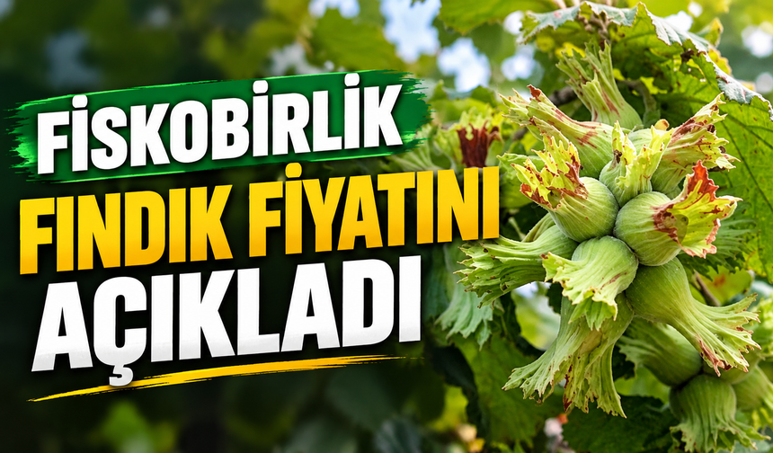 Fiskobirlik fındık fiyatını açıkladı