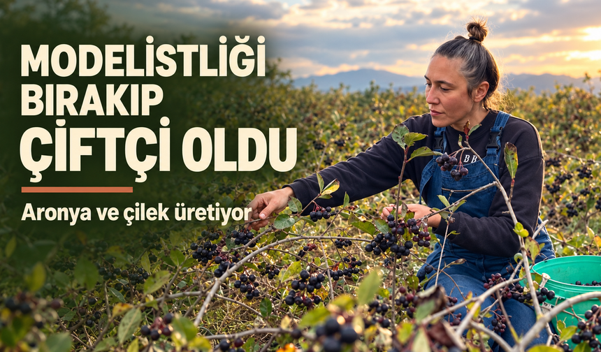 Modelistliği bırakıp çiftçi oldu: Aronya ve çilek üretiyor