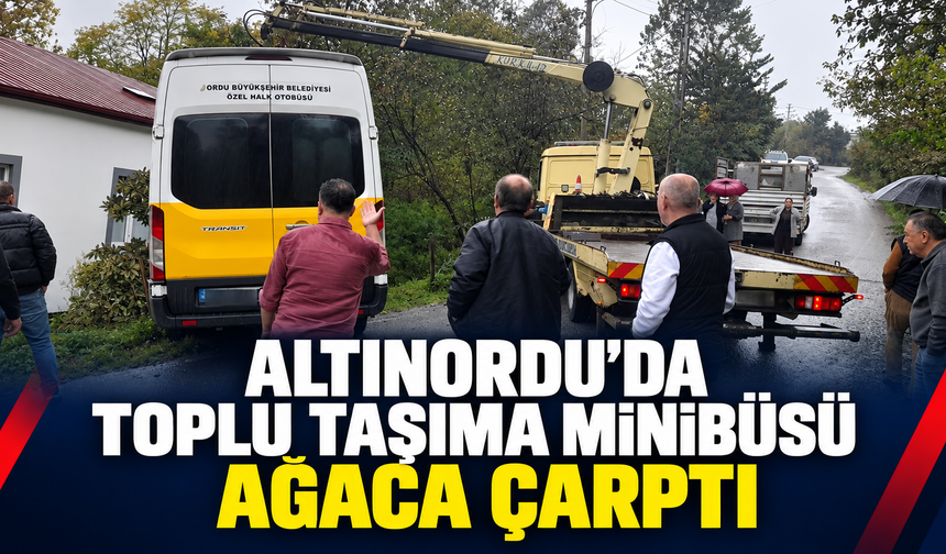 Altınordu’da toplu taşıma minibüsü ağaca çarptı