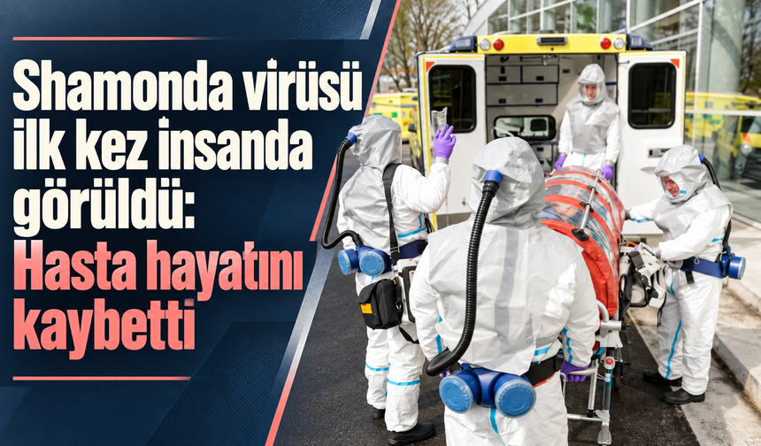 Shamonda virüsü ilk kez insanda görüldü: Hasta hayatını kaybetti
