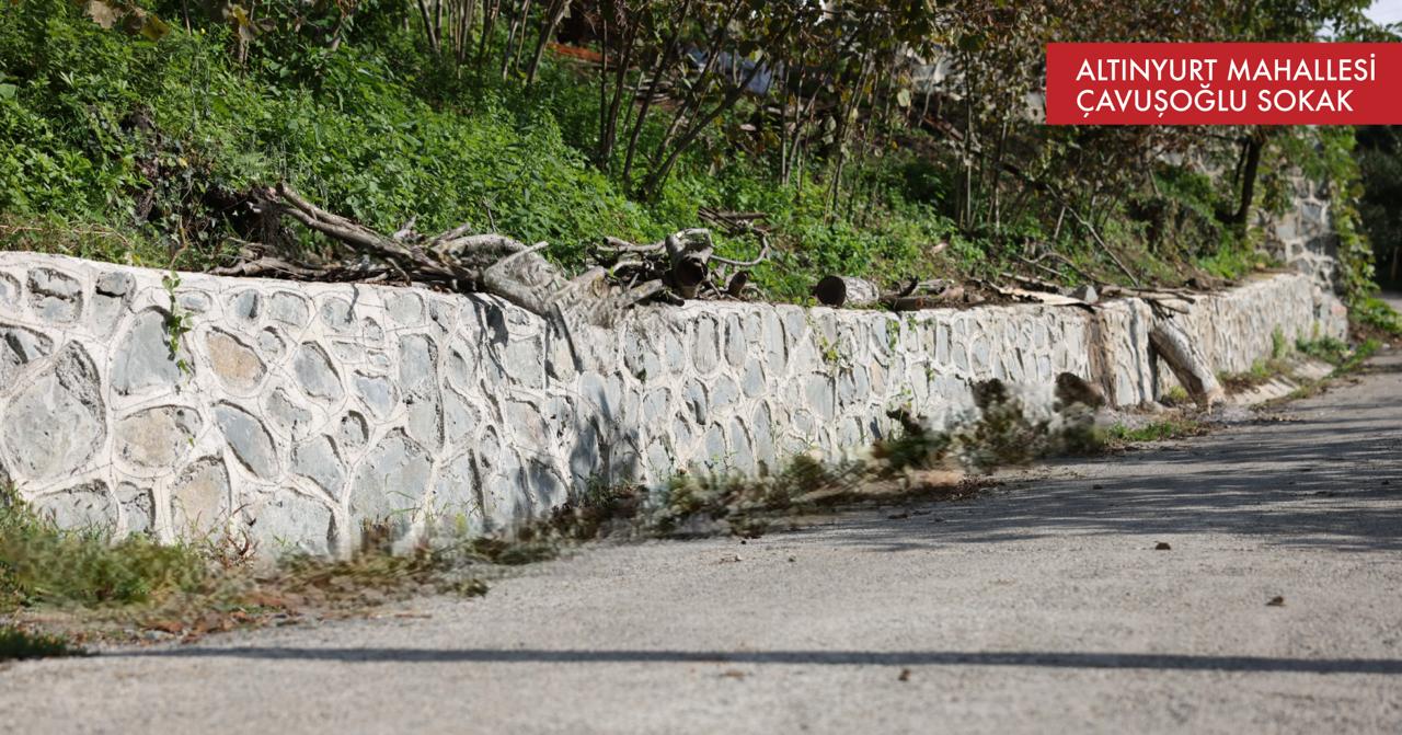 F5D13Fab 4A66 4777 920D 87003D520C7E