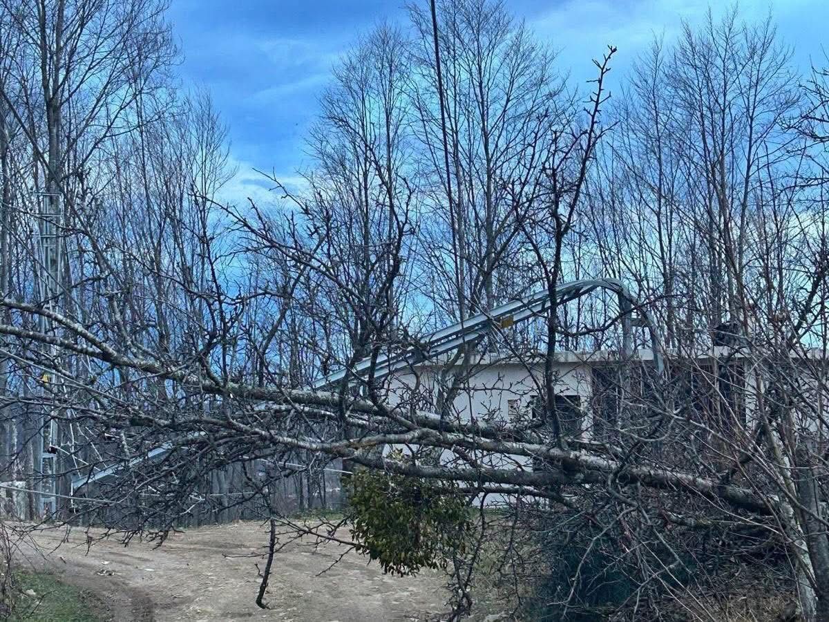 F I R T I N A A A23232