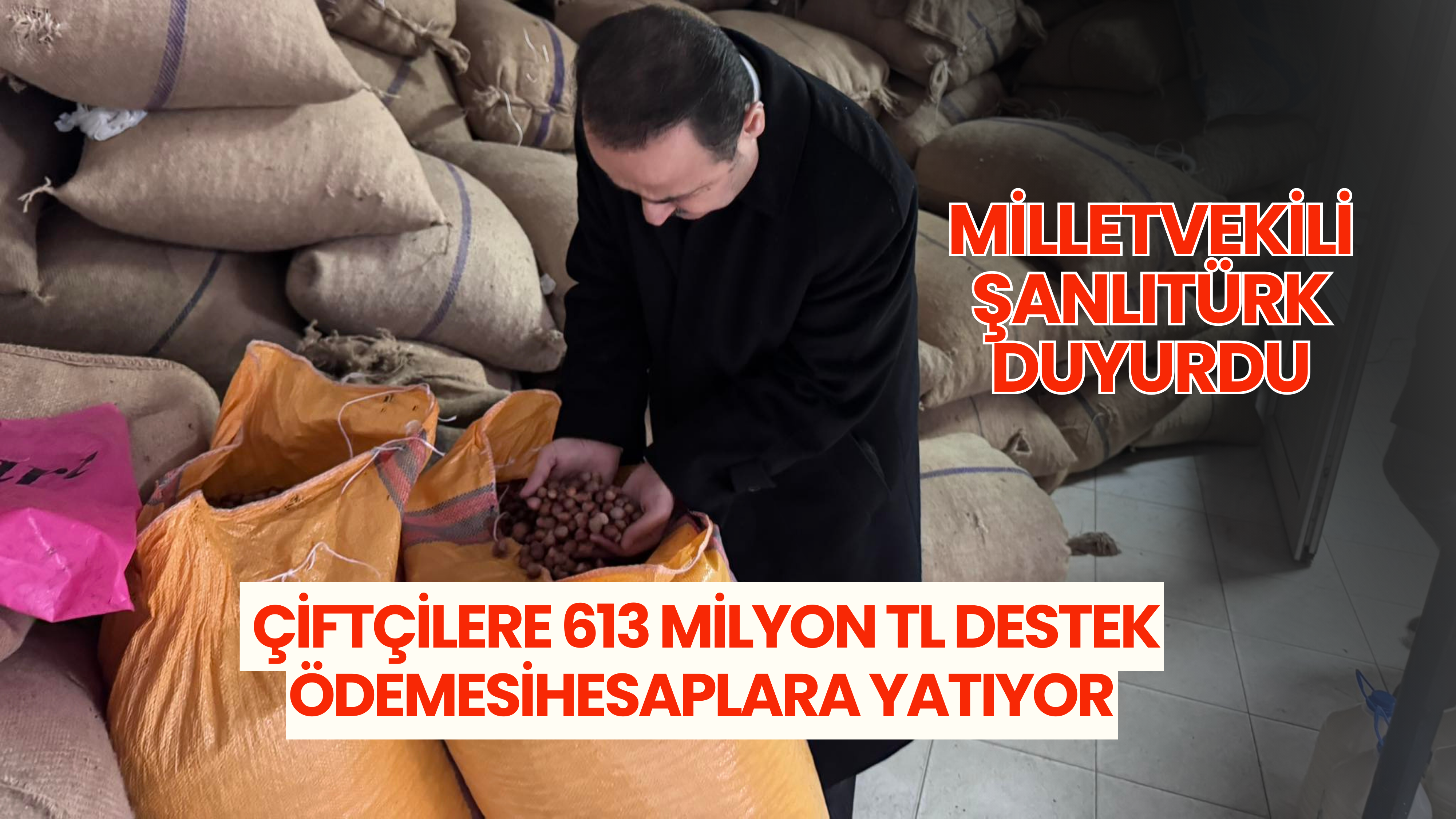 Şanlıtürk duyurdu: Çiftçilere 613 milyon TL destek ödemesi hesaplara yatıyor
