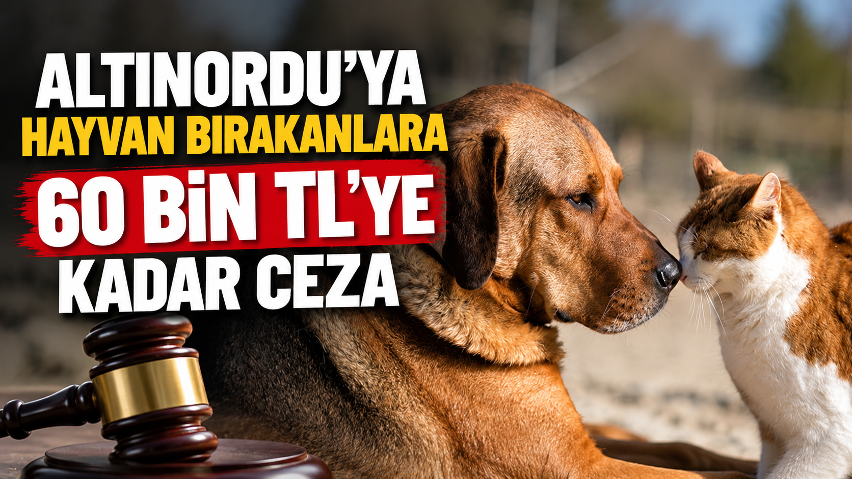 Altınordu’ya hayvan bırakanlara 60 bin TL’ye kadar ceza