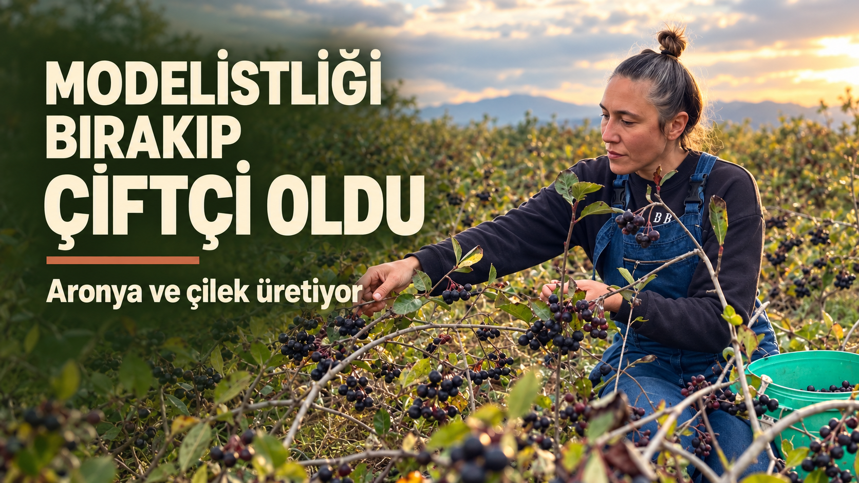 Modelistliği bırakıp çiftçi oldu: Aronya ve çilek üretiyor