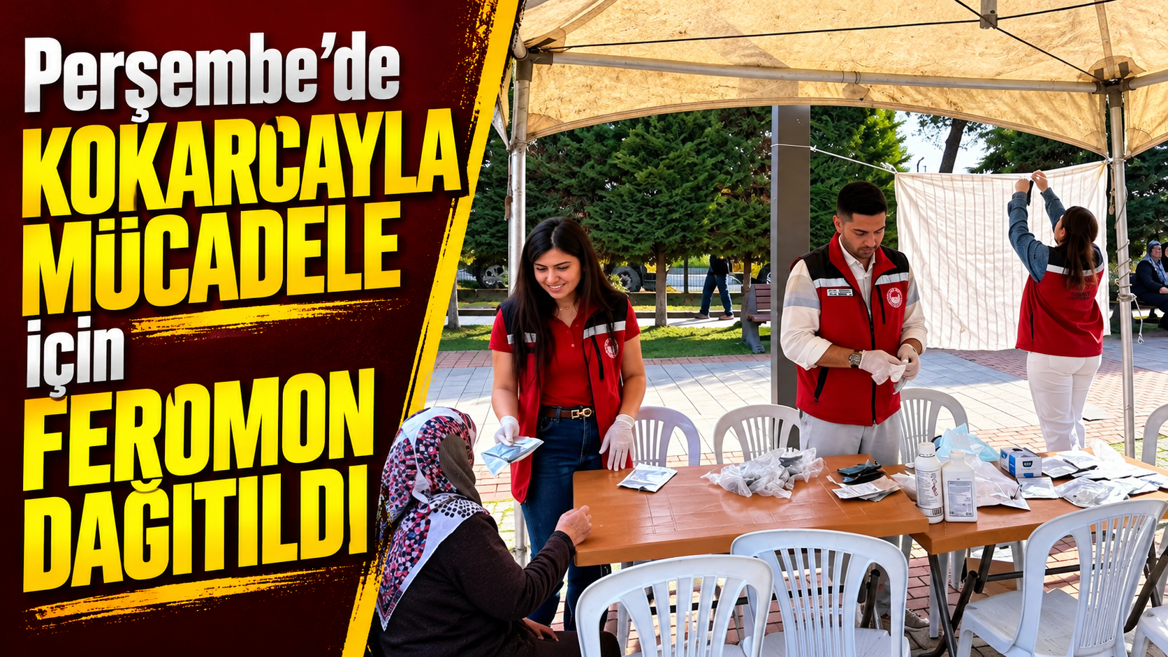 Perşembe’de kokarcayla mücadele için feromon dağıtıldı