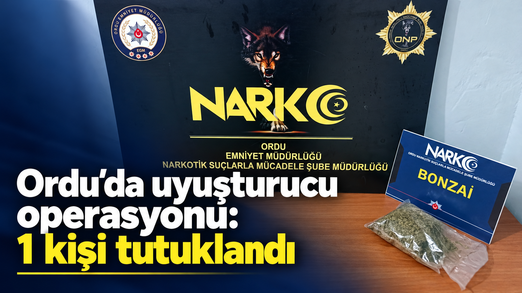 Ordu’da uyuşturucu operasyonu: 1 kişi tutuklandı